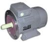IE3-W43R 160 M6 IEC-Drehstrom-Asynchronmotor