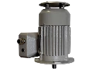 IEC-Drehstrom-Asynchronmotor (explosionsgesch�tzt) 1MB1543-0CB22-2GB4-Z H00