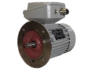 IEC-Drehstrom-Asynchronmotor (explosionsgesch�tzt) 1MB1543-0DB32-2FB4