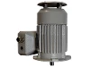 1MB1543-0EA02-2GB4-Z H00 IEC-Drehstrom-Asynchronmotor (explosionsgesch�tzt)