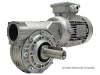 M050-36-56B4 Schneckengetriebemotor