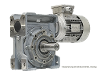 Q11-23-100LB4-IE3 Schneckengetriebemotor