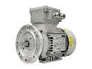 T&rcaron;&iacute;f&aacute;zov&yacute; asynchronn&iacute; motor IEC (nev&yacute;bu&scaron;n&yacute;) RL 71 A-4 / IE2
