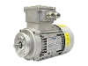 RL 71 B-4 / IE2 IEC-Drehstrom-Asynchronmotor (explosionsgesch�tzt)
