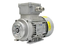 IEC driefasen asynchrone motor (explosieveilig) RL 71 B-4 / IE2