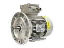 IEC driefasen asynchrone motor (explosieveilig) RL 80 A-4 / IE2
