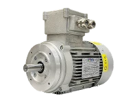 IEC driefasen asynchrone motor (explosieveilig) RL 80 A-4 / IE2