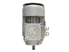 RL 80 A-4 / IE2 IEC-Drehstrom-Asynchronmotor (explosionsgesch�tzt)