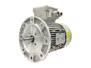 IEC driefasen asynchrone motor (explosieveilig) RL 80 B-4 / IE3