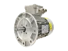 RL 80 B-4 / IE3 IEC-Drehstrom-Asynchronmotor (explosionsgesch�tzt)