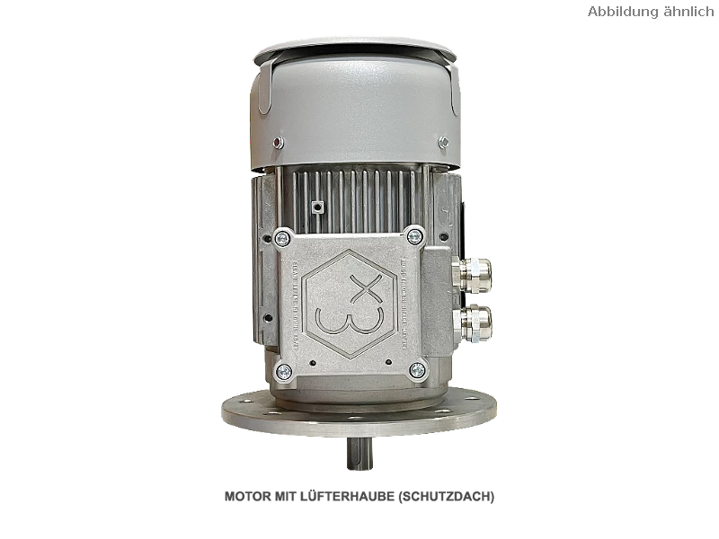 IEC driefasen asynchrone motor (explosieveilig) RL 80 B-4 / IE3