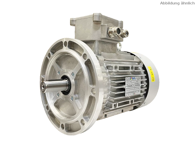 IEC three-phase asynchronous motor (explosion-proof) RL 112 M-4 / IE3