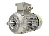 RL 132 SB-4 / IE3 IEC-Drehstrom-Asynchronmotor (explosionsgesch�tzt)