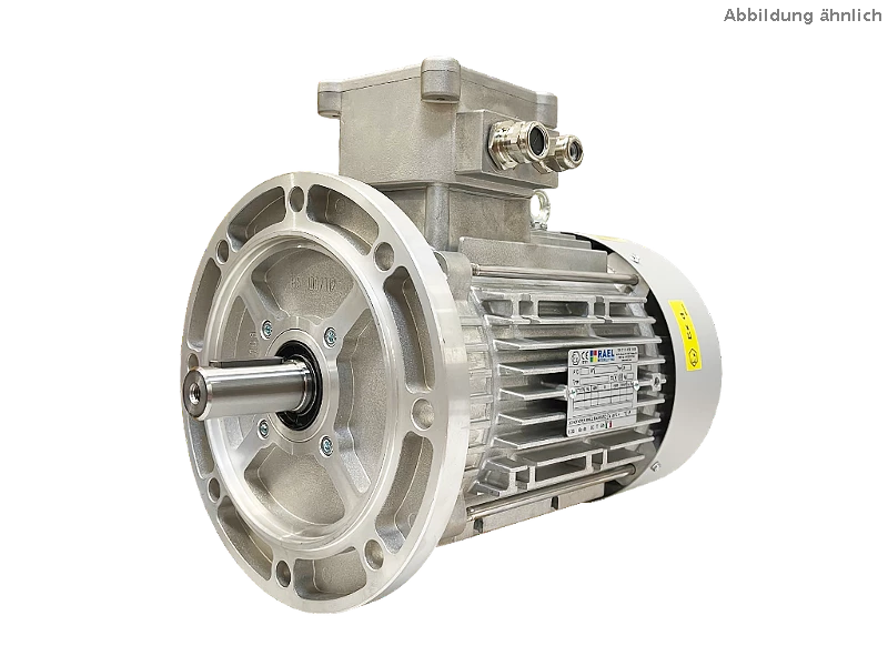 Motore asincrono trifase IEC (antideflagrante) RL 132 M-4 / IE3