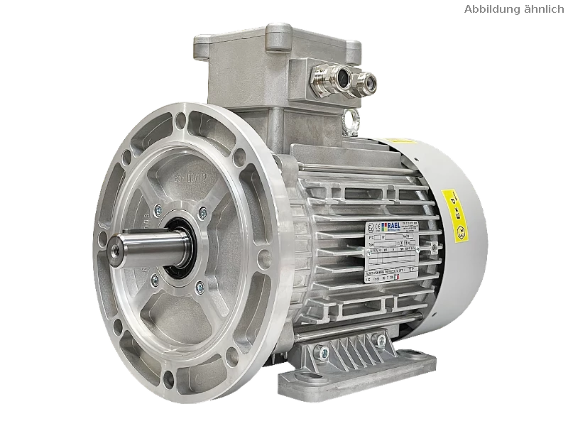 Motore asincrono trifase IEC (antideflagrante) RL 132 M-4 / IE3