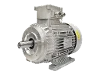 RL 132 M-4 / IE3 IEC-Drehstrom-Asynchronmotor (explosionsgesch�tzt)