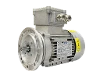 RL 71 A-2 / IE2 IEC-Drehstrom-Asynchronmotor (explosionsgesch�tzt)