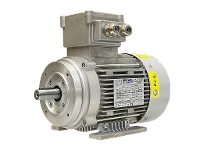 IEC driefasen asynchrone motor (explosieveilig) RL 80 A-2 / IE3