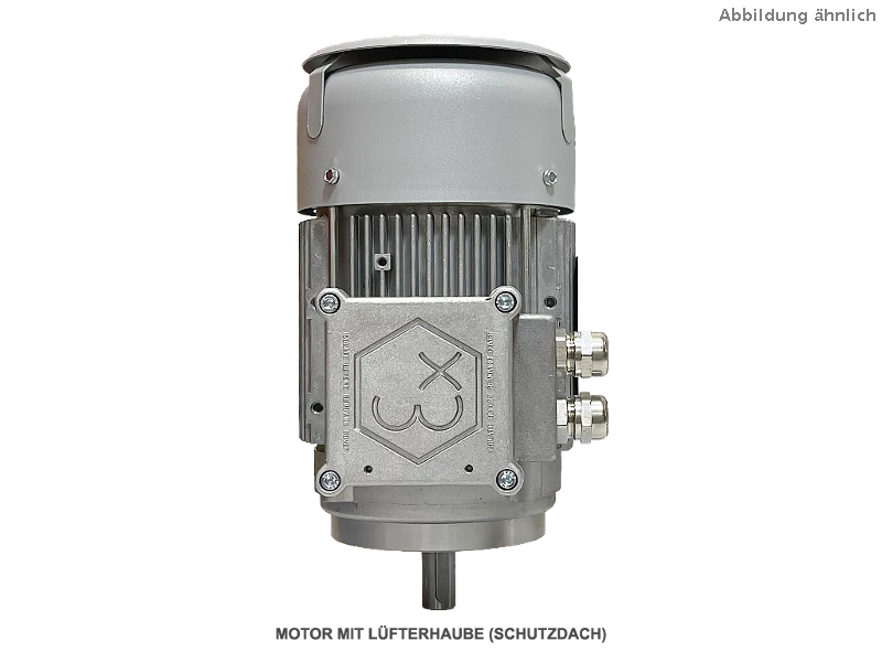 IEC driefasen asynchrone motor (explosieveilig) RL 80 A-2 / IE3