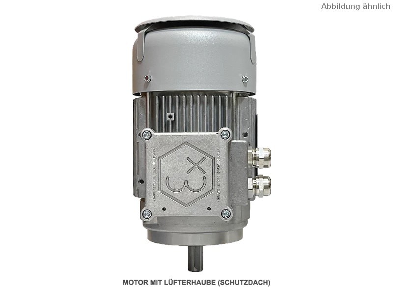 IEC driefasen asynchrone motor (explosieveilig) RL 80 B-2 / IE3