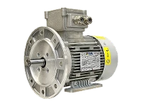 IEC three-phase asynchronous motor (explosion-proof) RL 100 LA-2 / IE3