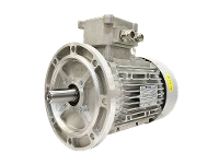 Motore asincrono trifase IEC (antideflagrante) RL 132 SA-2 / IE3