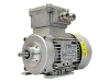 RL 63 B-4 / IE2 IEC-Drehstrom-Asynchronmotor (explosionsgesch�tzt)
