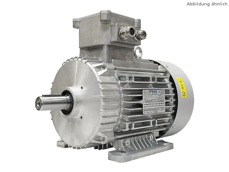 IEC three-phase asynchronous motor (explosion-proof) RL 112 M-4 / IE3
