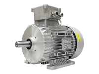 Motore asincrono trifase IEC (antideflagrante) RL 112 M-2 / IE3