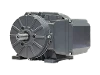 EY2 90-L4 Einphasenmotor mit Betriebskondensator
