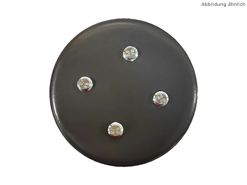 L�fterhaube mit Schutzdach LH-SD-BG56
