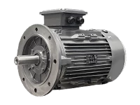 IEC three-phase asynchronous motor DG3 160-L2