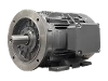 DG3 200-L2 IEC-Drehstrom-Asynchronmotor