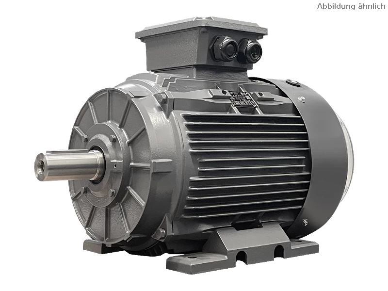 IEC driefasen asynchrone motor DG3 200-L4