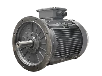 IEC-Drehstrom-Asynchronmotor (erh�hte Leistung) DG4 250-MP2