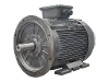 DG4 250-MP2 IEC-Drehstrom-Asynchronmotor (erh�hte Leistung)