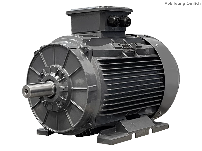 Motor as�ncrono trif�sico IEC (mayor potencia) DG4 280-MP2