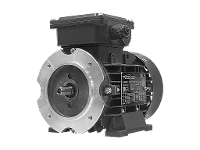 IEC-Drehstrom-Asynchronmotor (erh�hte Leistung) DA3 71-P6