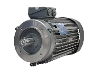 Motore asincrono trifase IEC IE3-W42R 80 K2 ST