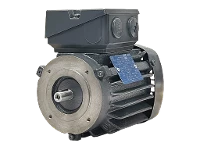 Motore asincrono trifase IEC IE3-W41R 63 K4 ST