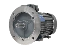 IEC three-phase asynchronous motor IE3-W41R 100 LX6 ST