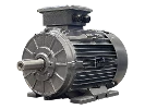 Motor as�ncrono trif�sico IEC DG3 180-L6