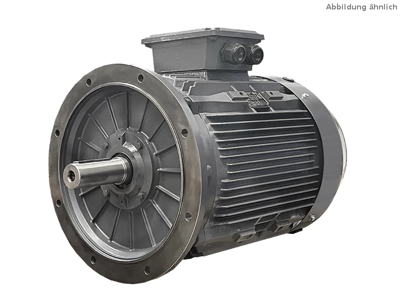 IEC three-phase asynchronous motor DG3 250-M6