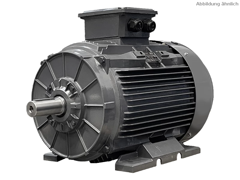 IEC three-phase asynchronous motor DG3 280-S6