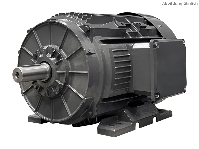IEC three-phase asynchronous motor DG3 280-S6