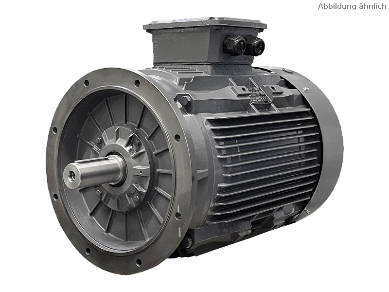 IEC driefasen asynchrone motor DG3 280-M6