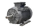 IEC driefasen asynchrone motor DG3 250-M8