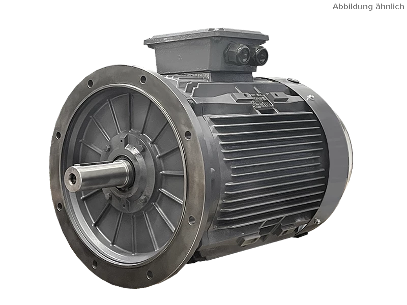 IEC driefasen asynchrone motor DG3 250-M8