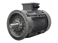 Motore asincrono trifase IEC DG3 280-S8