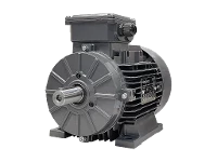 Motor as�ncrono trif�sico IEC (cambio de polos) PAQ 100-L 6-4